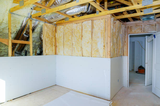 Best Attic Insulation Installation  in Lyons, KS