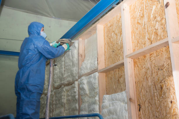 Best Insulation Repair Services  in Lyons, KS